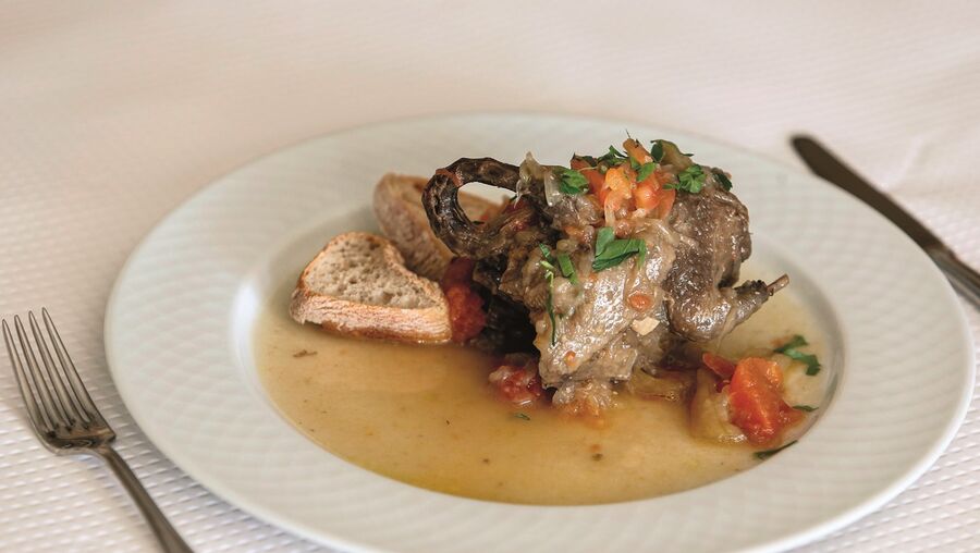 Pombos selvagens que, depois de duas horas no tacho, ficam tenríssimos 