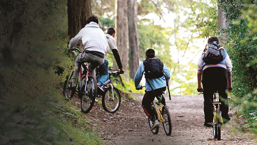 Parque de Monsanto, em Lisboa