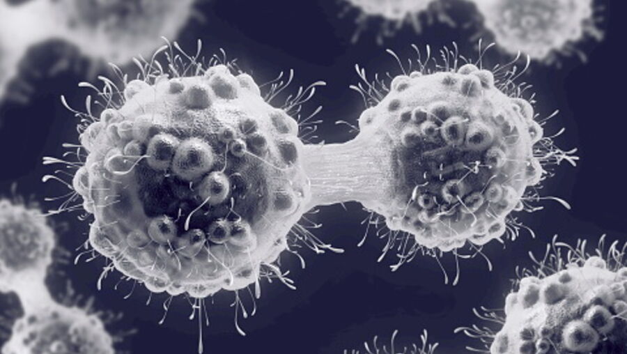 Cancro
